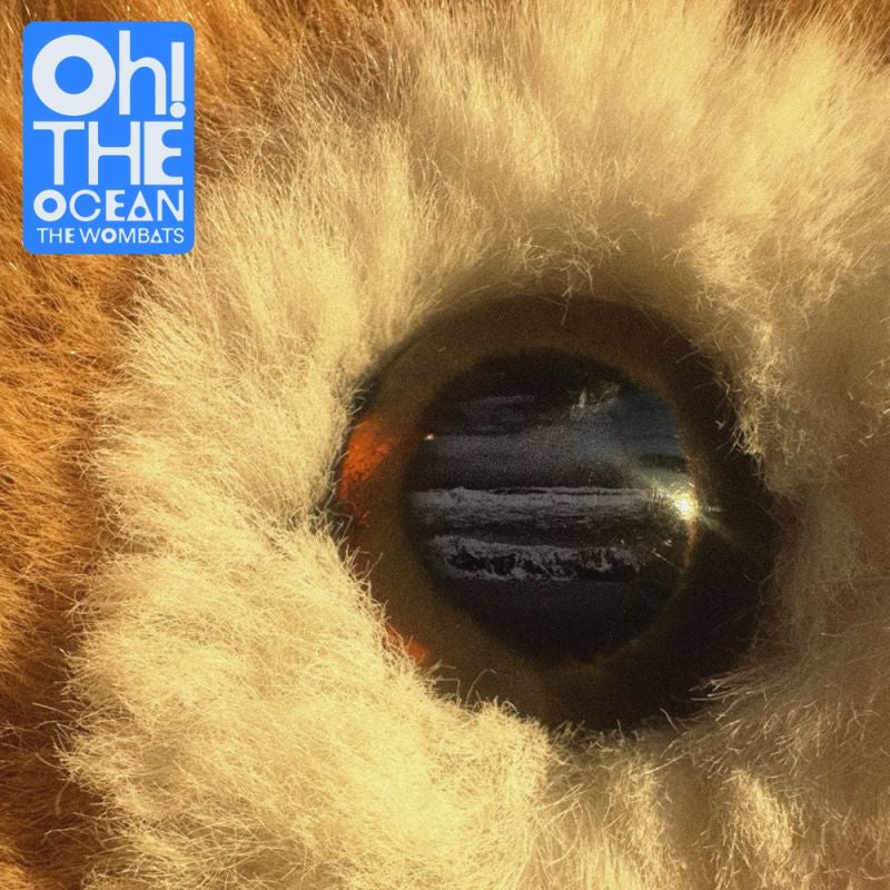 The Wombats - Oh! the ocean (LP)