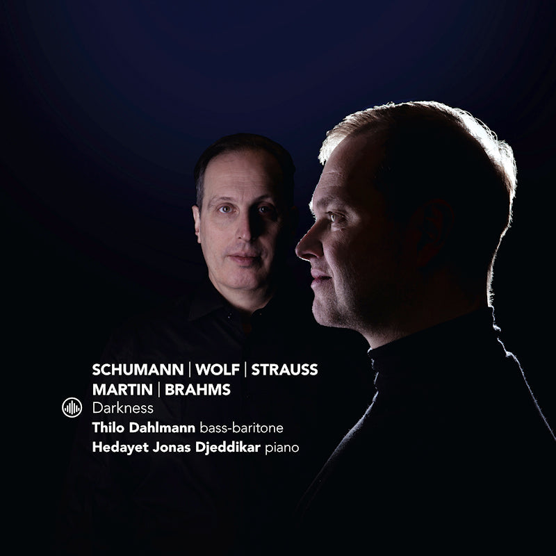 Dahlmann, Thilo | Djeddikar, Hedayet - Darkness (CD)