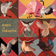 Thomas Dollbaum - Birds of paradise (CD) - Velvet Music