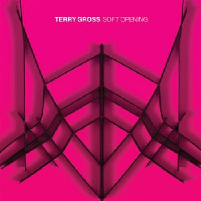 Terry Gross - Soft opening (LP) - Velvet Music