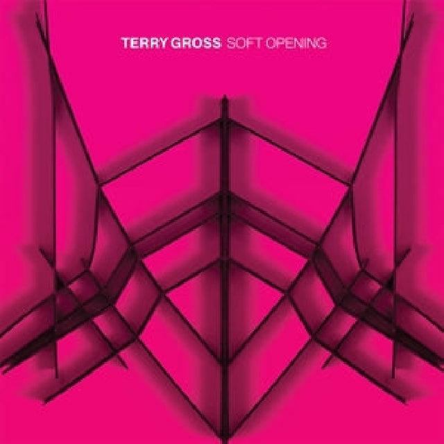 Terry Gross - Soft opening (LP) - Velvet Music