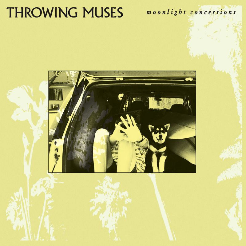 Throwing Muses - Moonlight concessions (CD) - Velvet Music