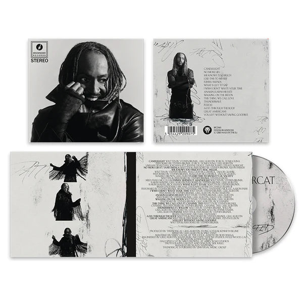 Thundercat - Distracted (CD) - Velvet Music