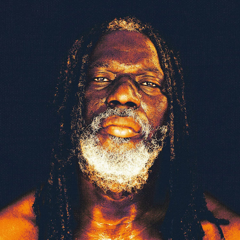 Tiken Jah Fakoly - Braquage de pouvoir (CD) - Velvet Music