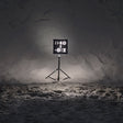 Tinariwen - Live in paris 2014 (CD) - Velvet Music