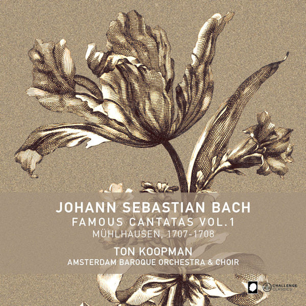 Ton Koopman / Amsterdam Baroque Orchestra &amp; Choir - Bach: famous cantatas vol. 1 (CD)