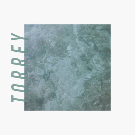 Torrey - Torrey (LP) - Velvet Music