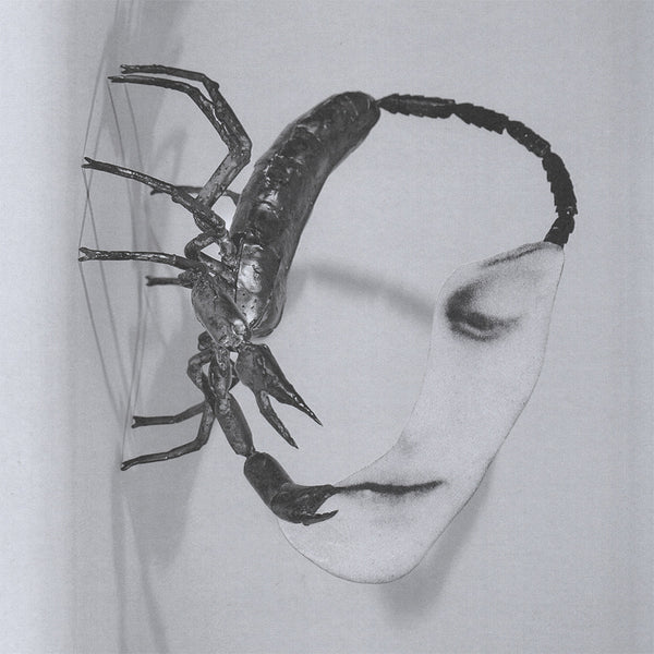 Tortoise - Touch (CD)