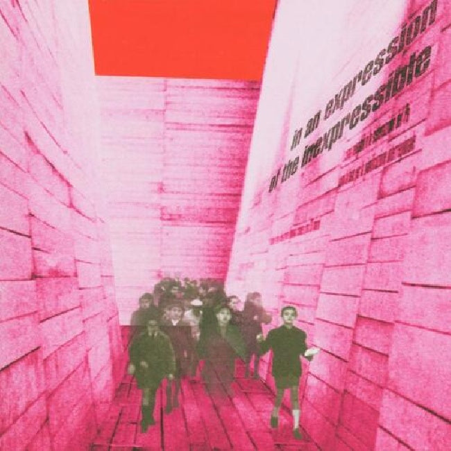 Blonde Redhead - In an expression of the inexpressible (LP) - Velvet Music