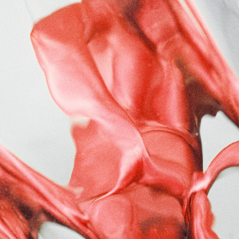 Tramhaus - Blister (CD)