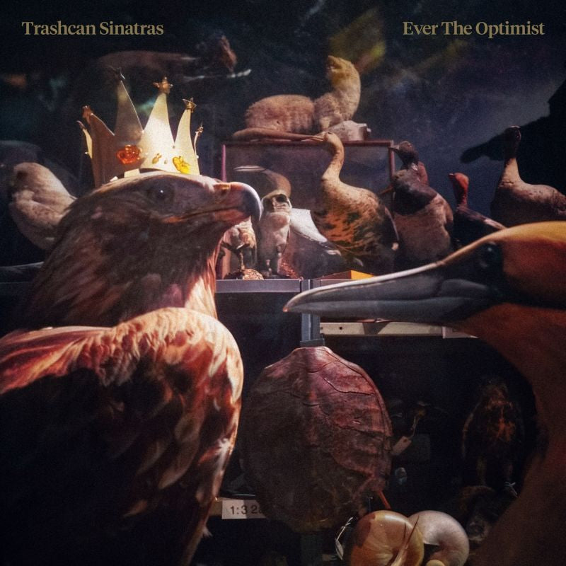 Trashcan Sinatras - Ever the optimist (LP)