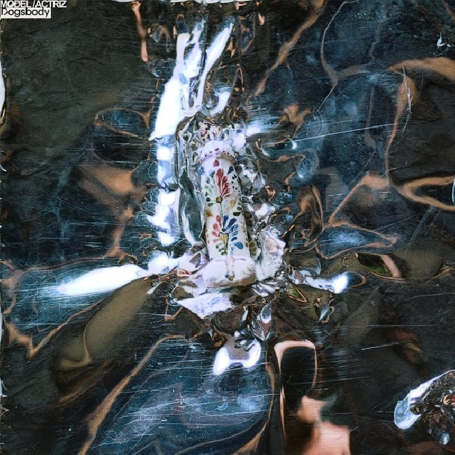 Model - Dogsbody (LP) - Velvet Music