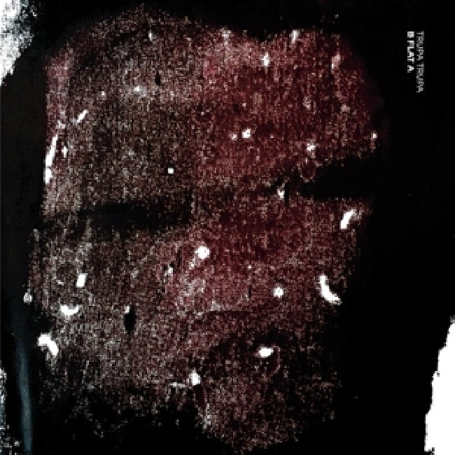Trupa Trupa - B flat a (CD)