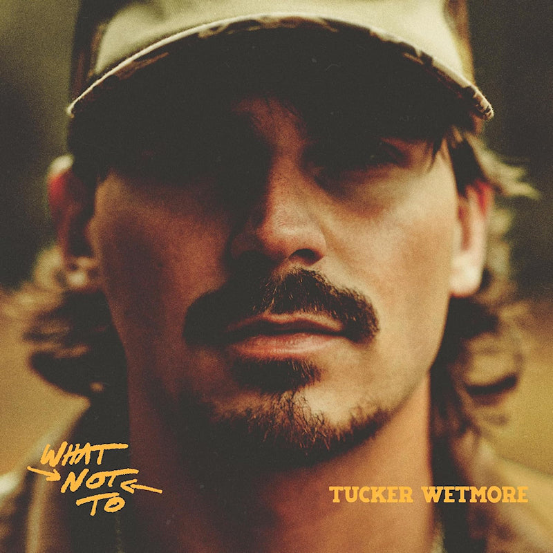 Tucker Wetmore - What not to (LP) - Velvet Music