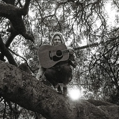 Ty Segall - hello, hi (CD)