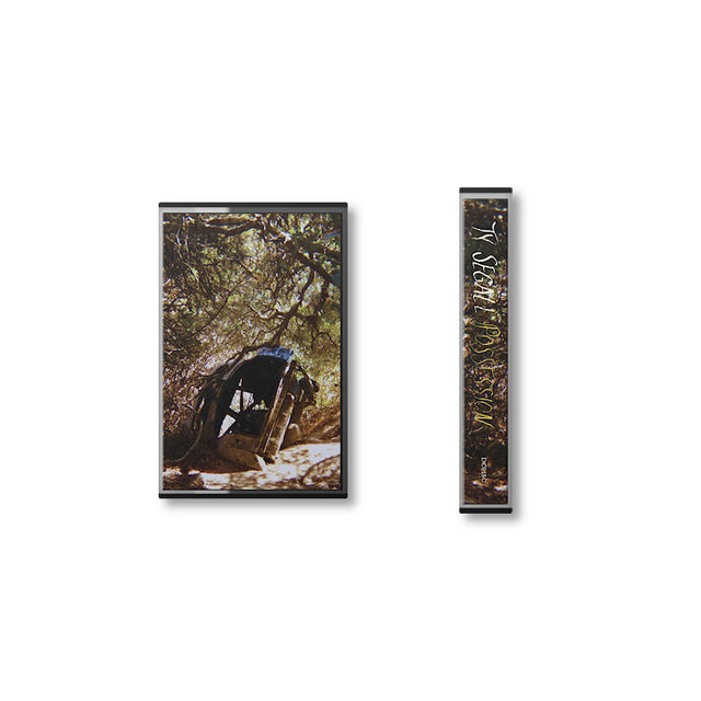 Ty Segall - Possession (muziekcassette) - Velvet Music
