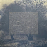 Boxer Rebellion, The - Union (LP) - Velvet Music