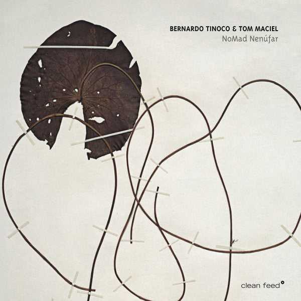 Bernardo Tinoco, Tom Maciel - NoMad Nenúfar (tweedehands CD) - Velvet Music