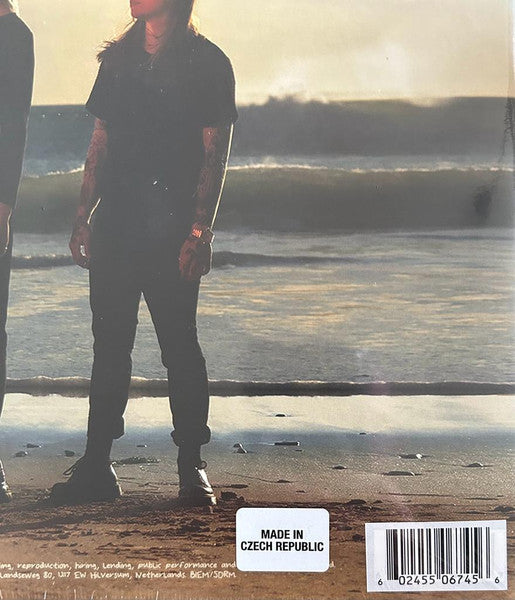 boygenius - The Record  (LP) - Velvet Music
