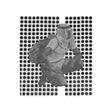 Ulrika Spacek - The album paranoia (LP) - Velvet Music
