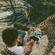 Unknown Mortal Orchestra - V (CD)