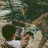 Unknown Mortal Orchestra - V (LP) - Velvet Music