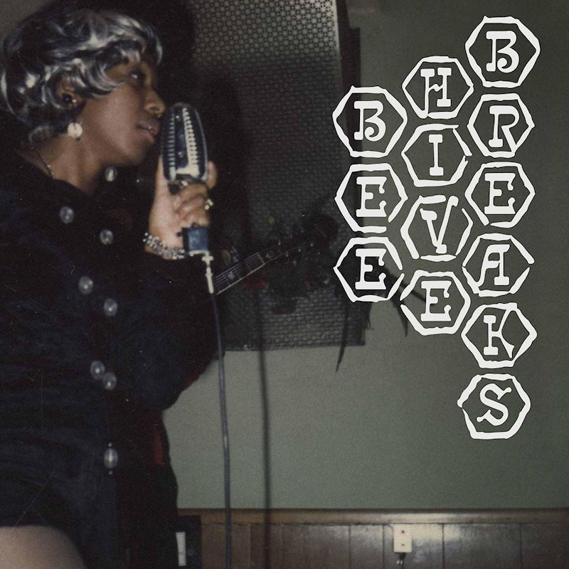 V/A (Various Artists) - Beehive breaks (LP) - Velvet Music