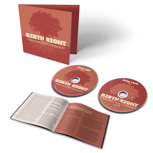 V/A (Various Artists) - Birthright: a black roots music compendium (CD)