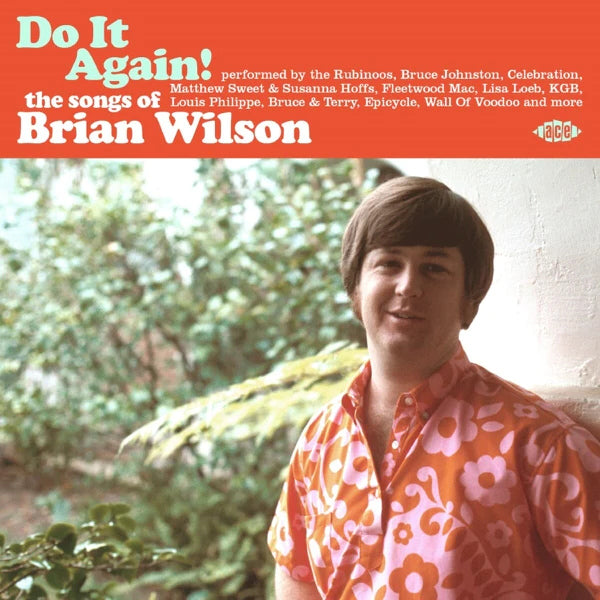 V/A (Various Artists) - Do it again! the songs of brian wilson (CD) - Velvet Music