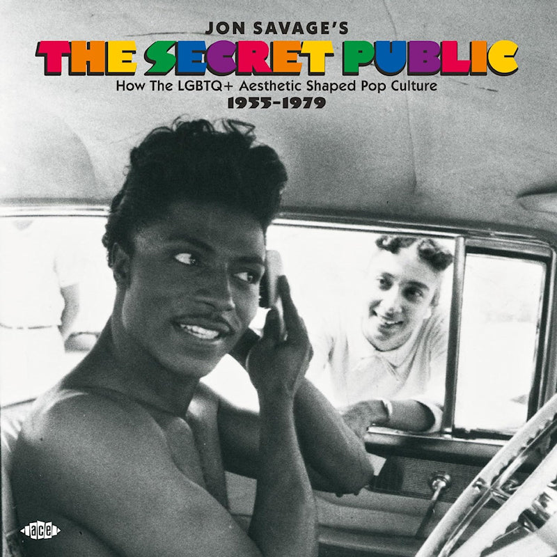 V/A (Various Artists) - Jon savage's the secret public (CD)