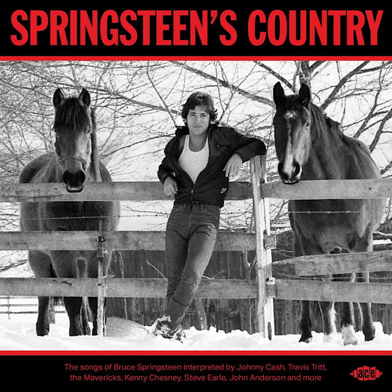Various - Springsteen's Country (CD)