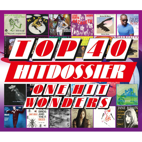 V/A (Various Artists) - Top 40 hitdossier - one hit wonders (CD)