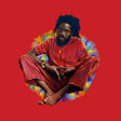 Dennis Brown - We remember dennis brown (CD) - Velvet Music
