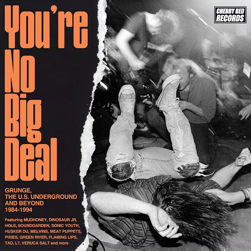 Various - You're no big deal - grunge, the u.s. underground (CD) - Velvet Music