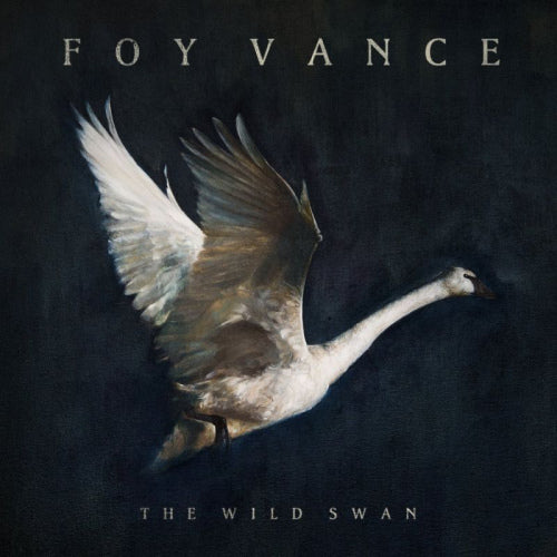 Foy Vance - Wild swan (LP)