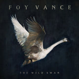 Foy Vance - Wild swan (LP)