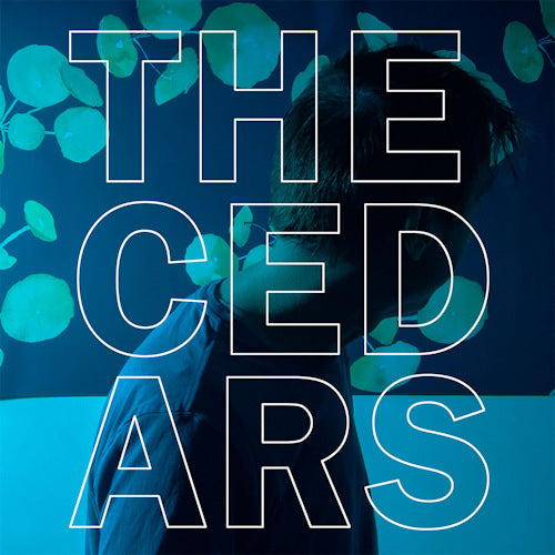 John Vanderslice - Cedars (LP)