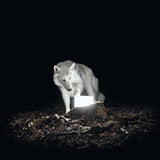 Vanishing Life - Surveillance (LP)