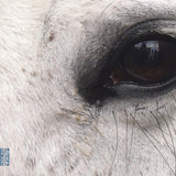 V/A (Artistes variés) - Openings of the eye (CD)