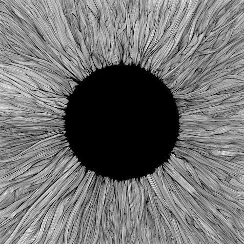 Vola - Witness (CD)