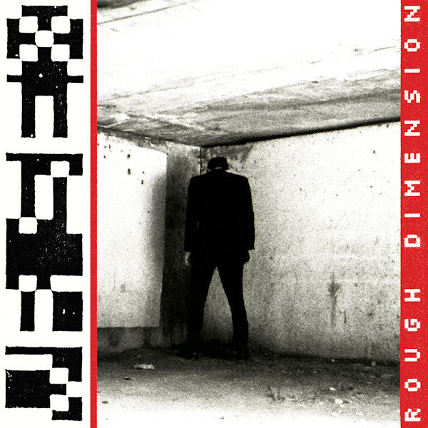VR Sex - Rough dimension (grey) (LP) - Velvet Music