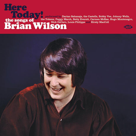 Brian Wilson - Here Today! (The Songs of Brian Wilson) (LP) - Velvet Music