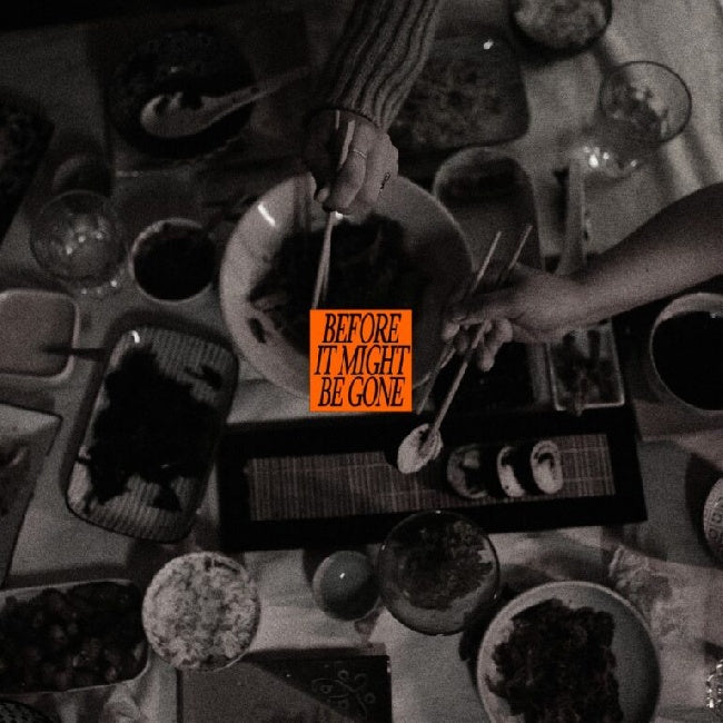 Vices, The - Before It Might Be Gone (Deluxe) (10-inch) - Velvet Music