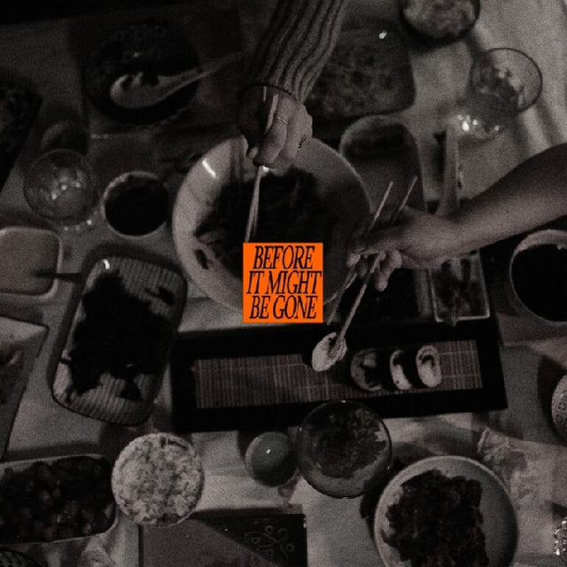 Vices, The - Before It Might Be Gone (Deluxe) (10-inch) - Velvet Music