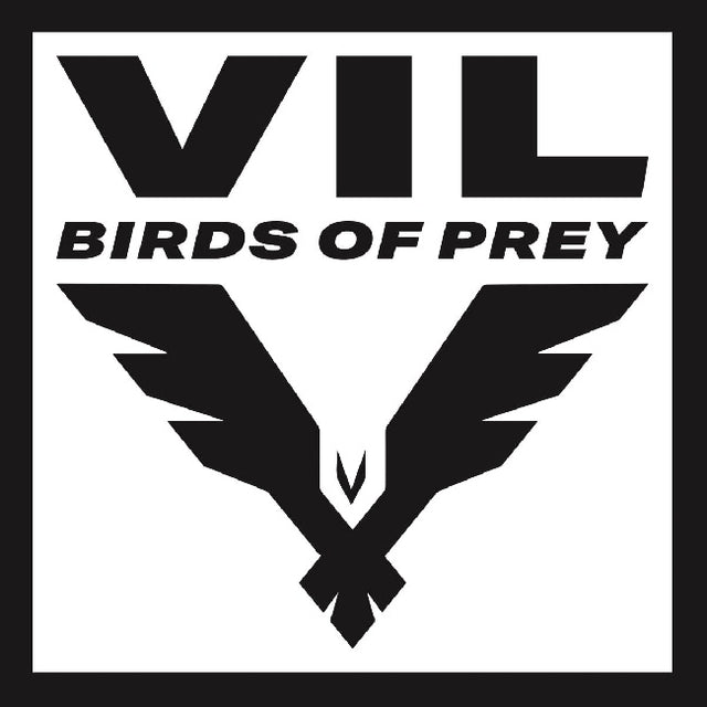 Vil - Birds of prey (12-inch maxi-single) - Velvet Music
