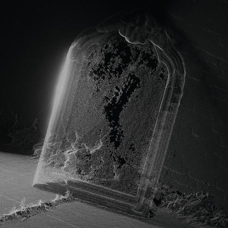 Visible Cloaks - Paradessence (LP) - Velvet Music