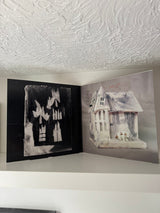 Bowl (4) - The Rude Interruption Of Fear (LP) - Velvet Music
