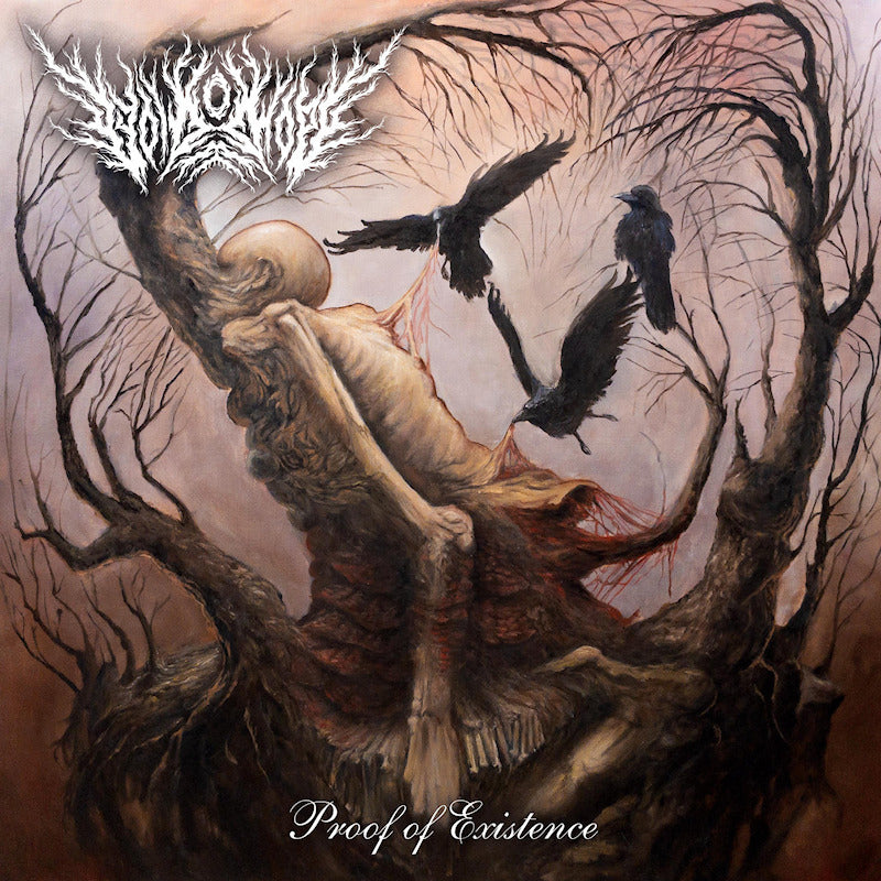 Void Of Hope - Proof of existence (LP) - Velvet Music