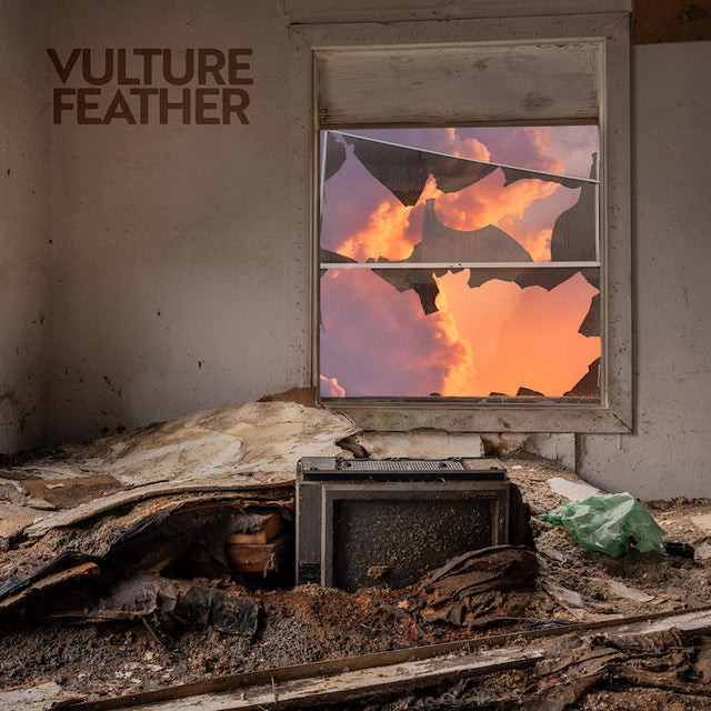 Vulture Feather - It will be like now (rose) (LP) - Velvet Music