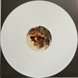 Jameszoo - Fool (LP) - Velvet Music